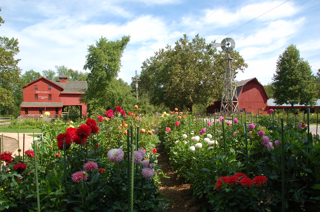 bonnyville mills bonnyville mills flower garden markbajekphoto1