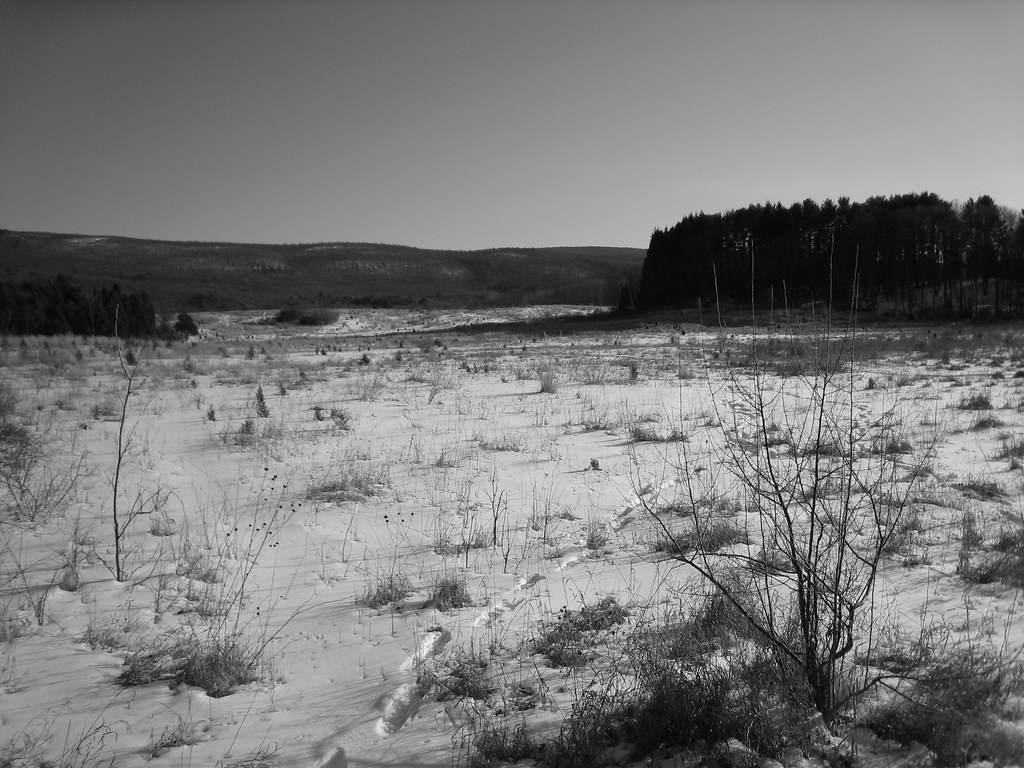 Delaware Water Gap Flickr