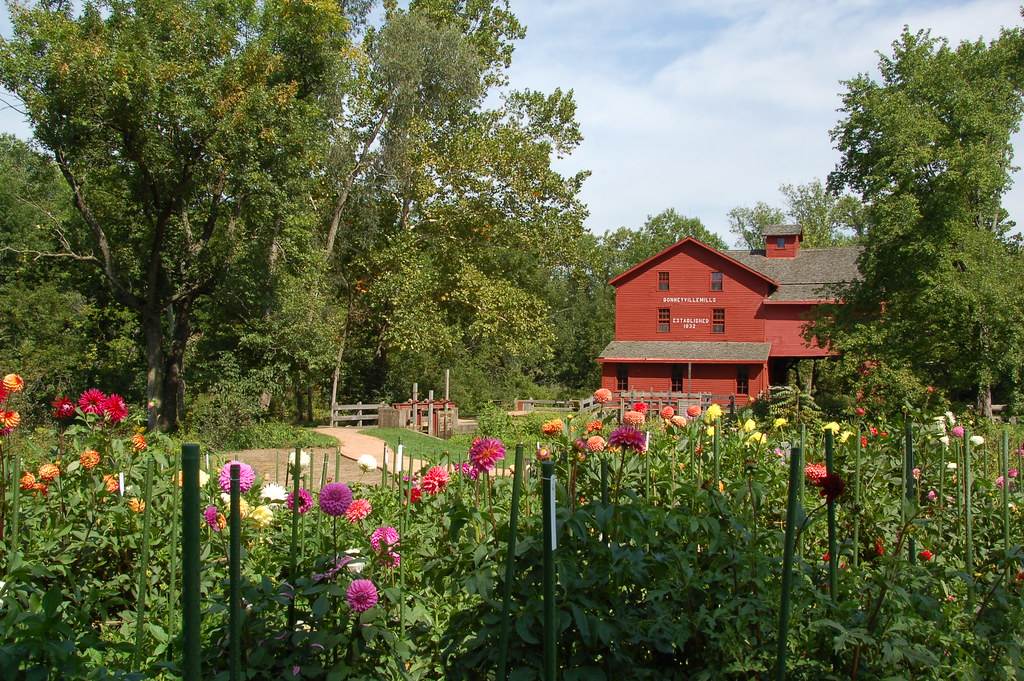 bonnyville mills flower garden bonnyville mills county par… Flickr