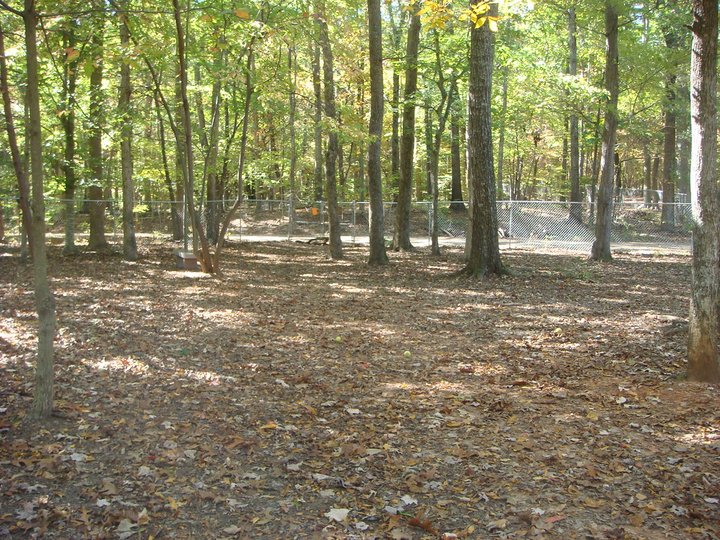 Greensboro Dog Park Jeff Johnson Flickr