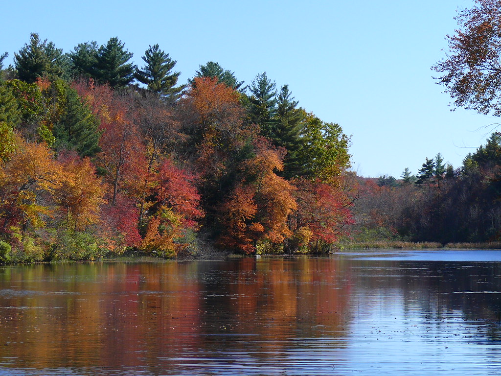 P1050091 Another view from Pachaug Pond in Griswold, CT. Jim M