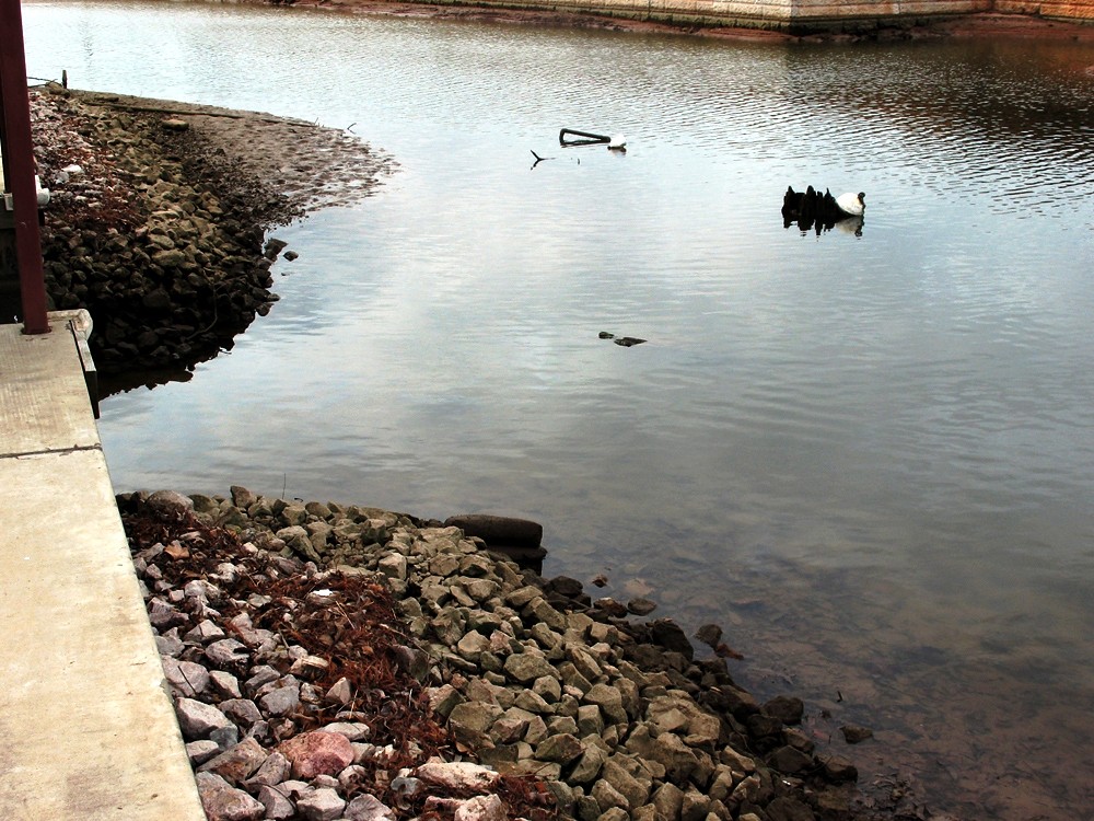 Lake Drawdown Jan 41 Lake depth on day Jan. 4 Flickr