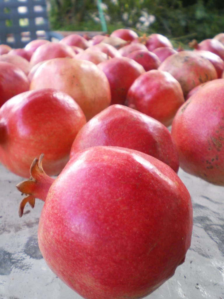 new home Yorba Linda Flickr