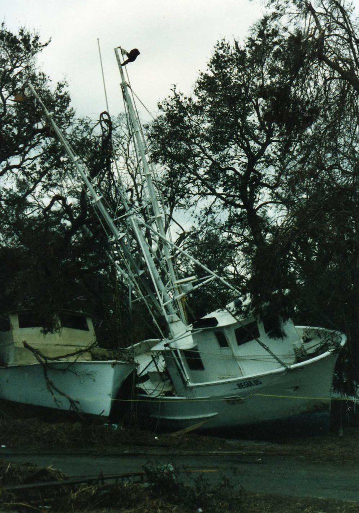 1989 McCellanville, SC after Hurricane Hugo McCellanville … Flickr