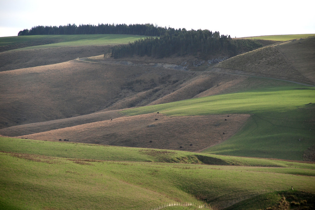 On the OutramMiddlemarch road, Otago, New Zealand, 28 May… Flickr