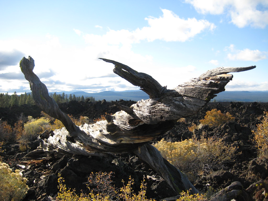 lava beds central oregon ruby jae Flickr
