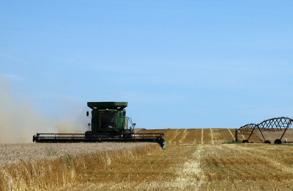 Fresh Cut North Dakota Wheat Harvest SnoShuu Flickr