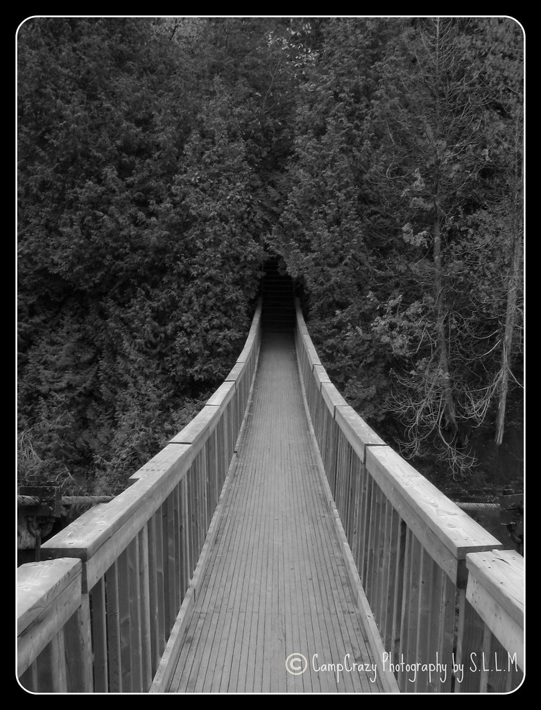 Belfountain Swing Bridge This was taken in Belfountain Ont… Flickr
