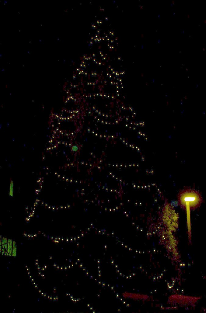 Christmas Tree at Night Im000502.Jpg Randolph Community College