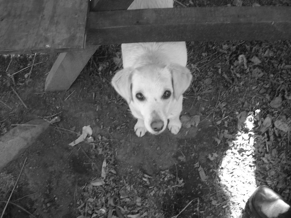 Cajon del Maipo Flickr