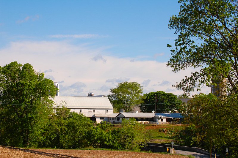 MeadowView Farm GetAway 2008 Flickr