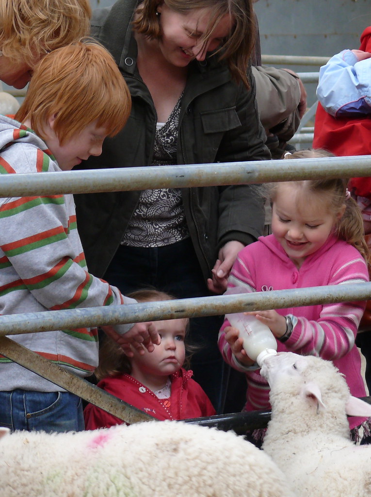Mead Open Farm Steve Cook Flickr