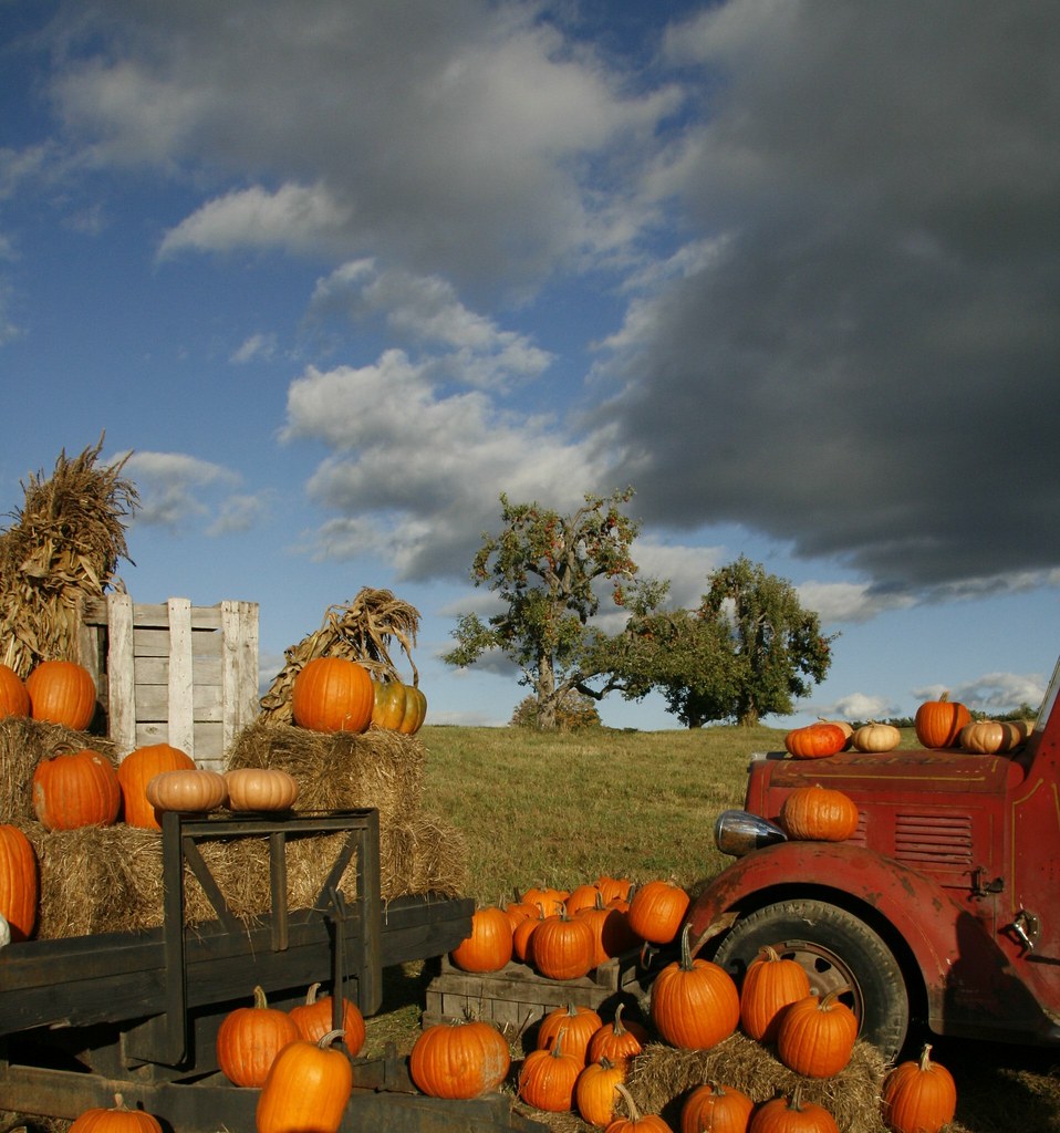 Apple Hill Farm New York New Paltz, NY Dana Devine O'Malley Flickr