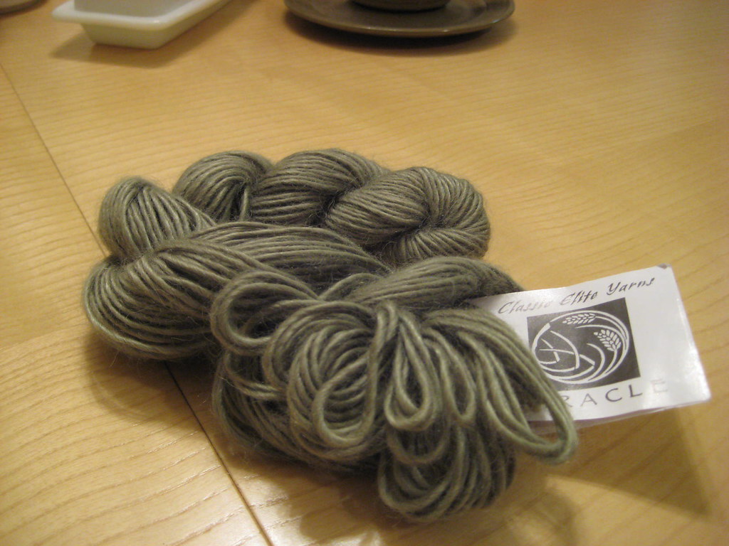 Classic Elite Yarns Miracle Sage redens1 Flickr