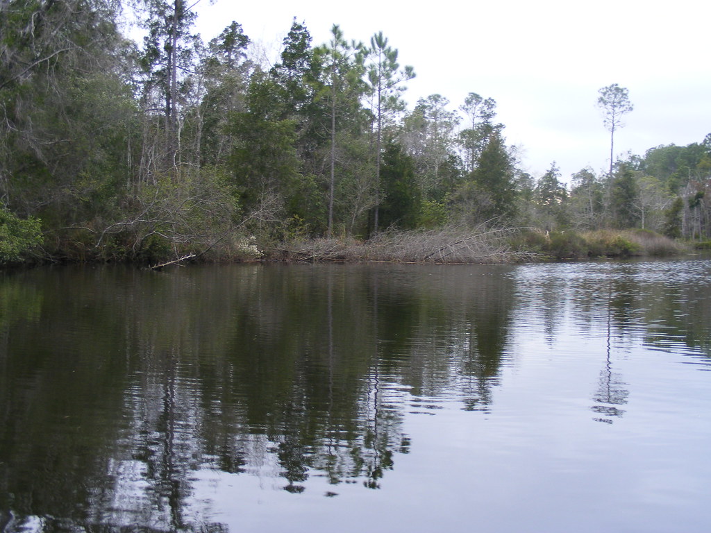 blackwater river Milton fl April 1st 2008 Philip Hudson Flickr