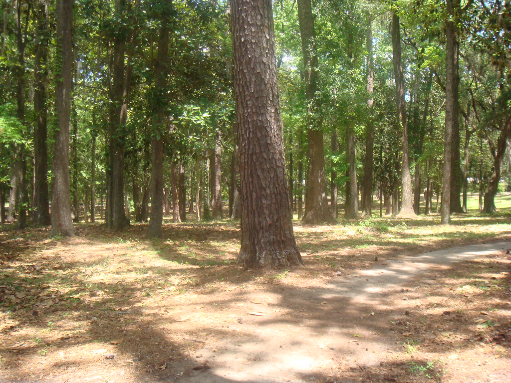 Myers Park Meyer Myers Park, Myers Park Drive, Tallahassee… Flickr