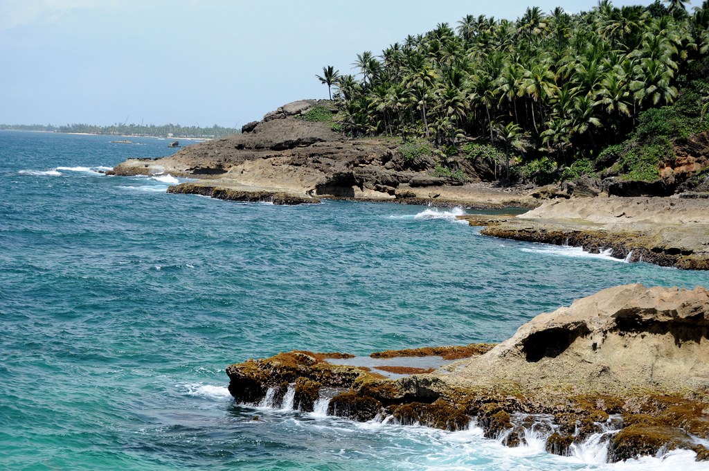 Cerro Gordo beach trail Mountain bike Puerto Rico North Co… Flickr
