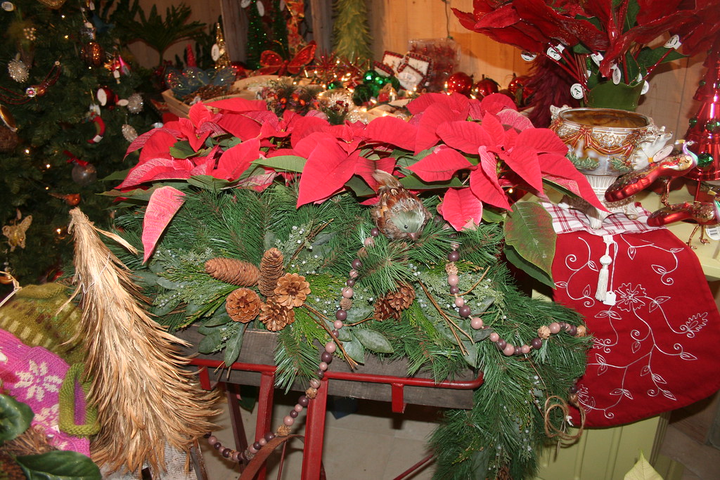 Lilys IMG_7310 Inside Lily's Florist Karen Chase Flickr