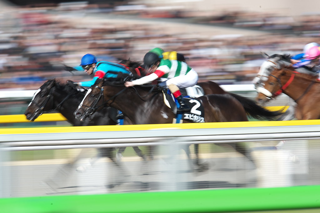 Epicharis Hyacinth Stakes February 19 2017 Hyacinth Stak… Flickr