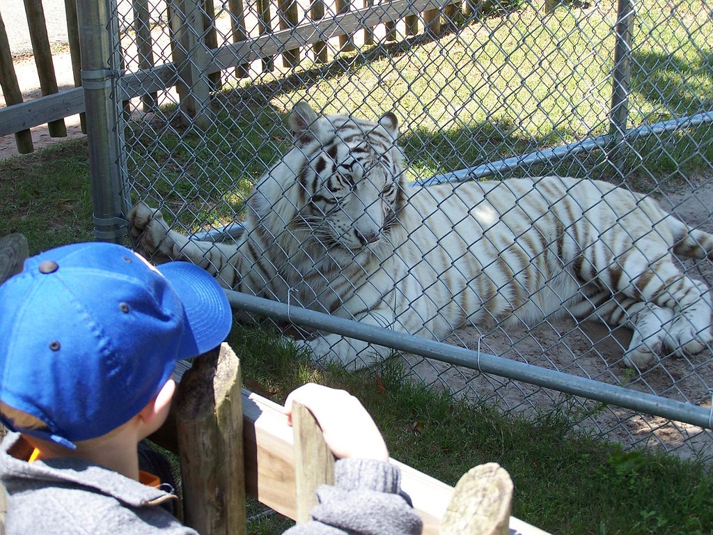 Gulf Shores Zoo 2 The Alabama Gulf Coast Zoo was apparentl… Flickr