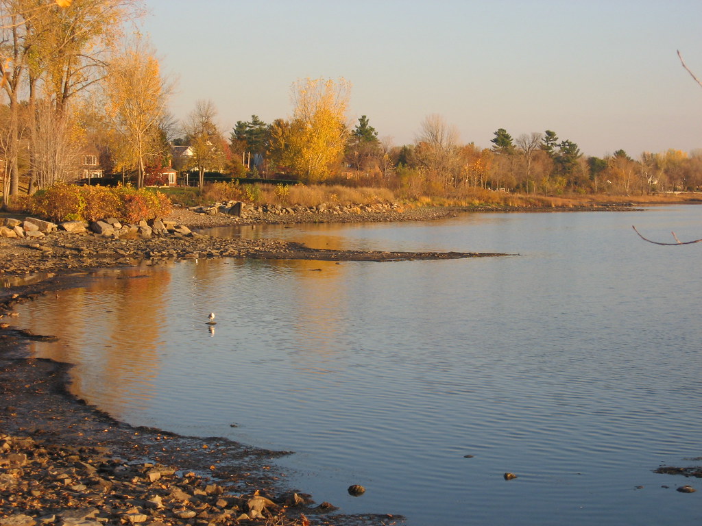 Marina de Gatineau em Aylmer Paulo Q Maia Flickr