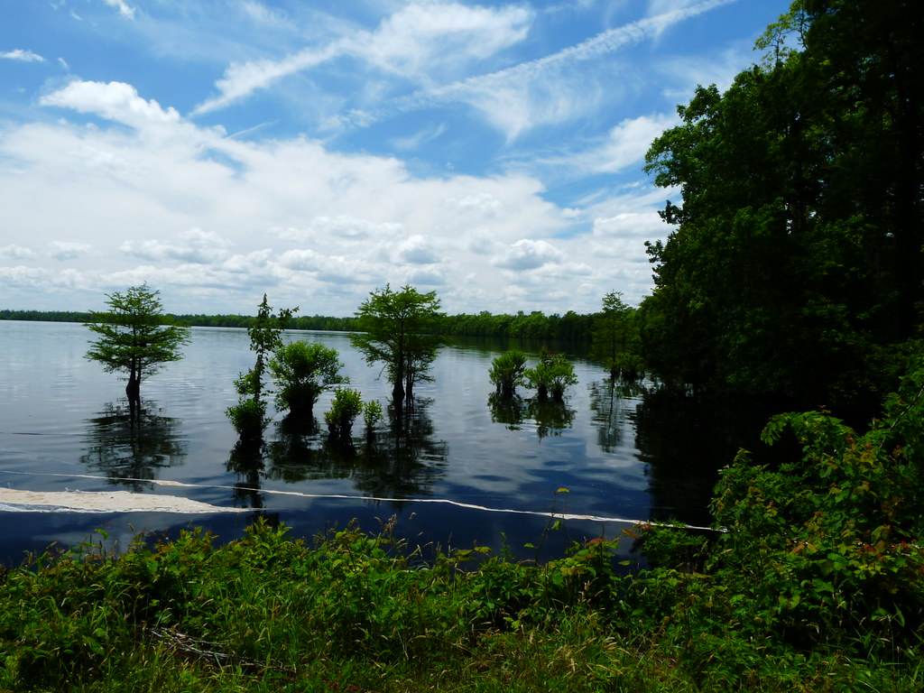 Lake Drummond Great Dismal Swamp eatingmachine Flickr