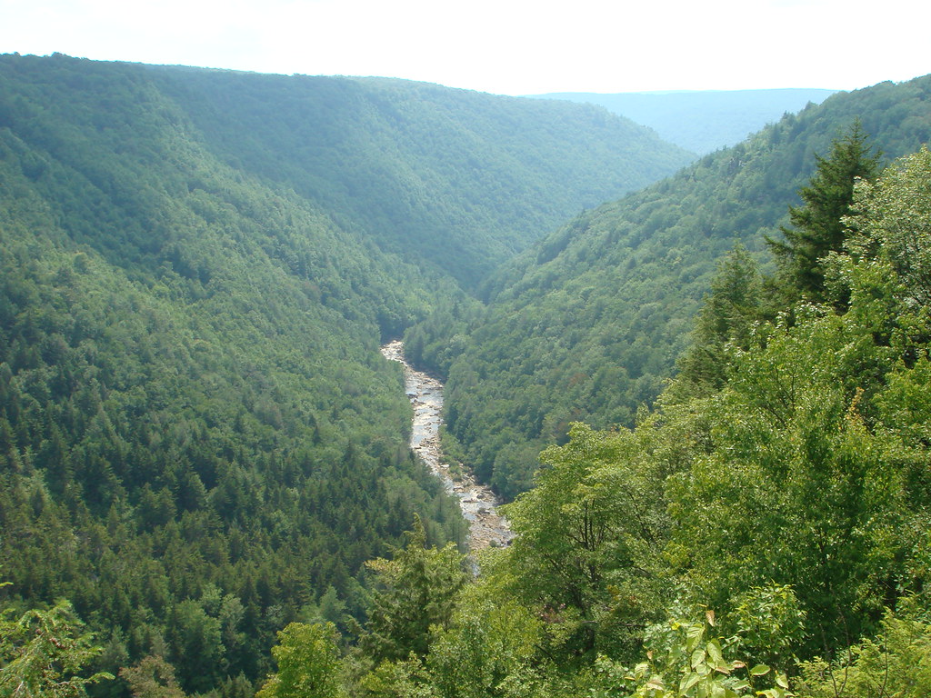 at Blackwater Falls The at Blackwater Falls Flickr