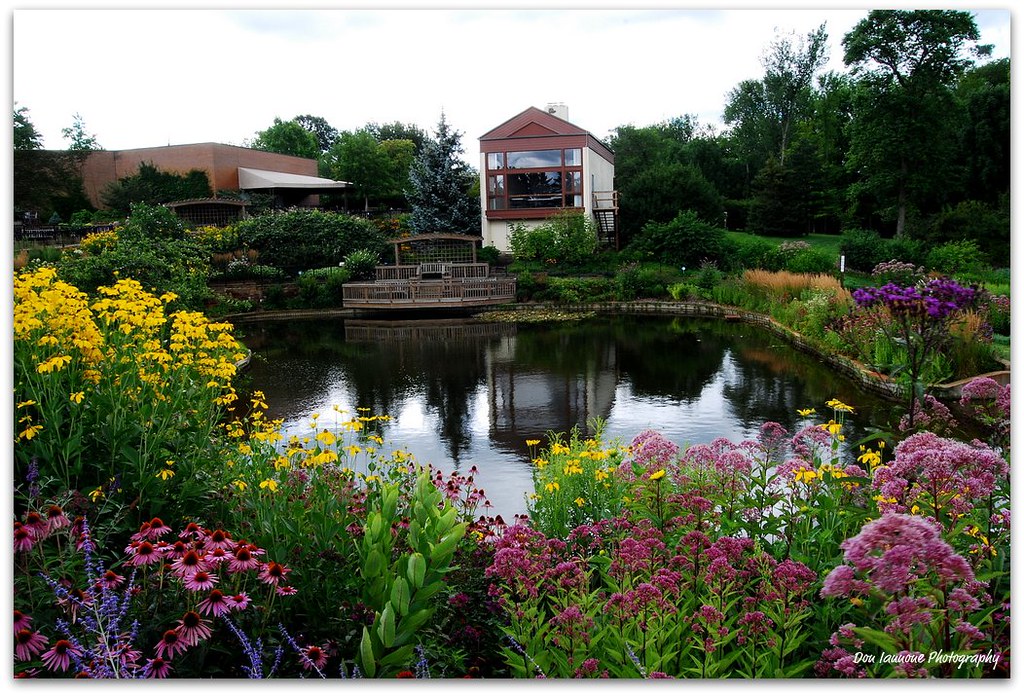Flower Garden at Holden Arboretum Located in Kirtland, Ohi… Flickr