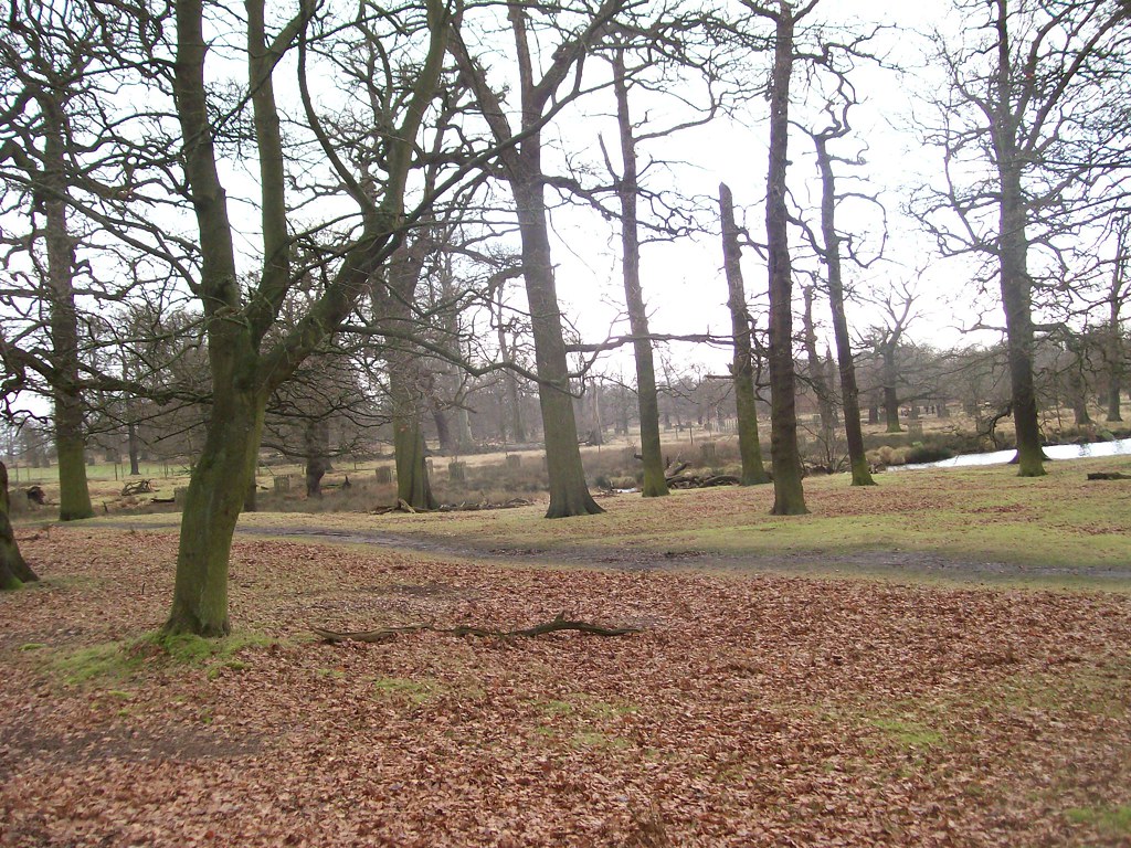 Dunham Park Flickr