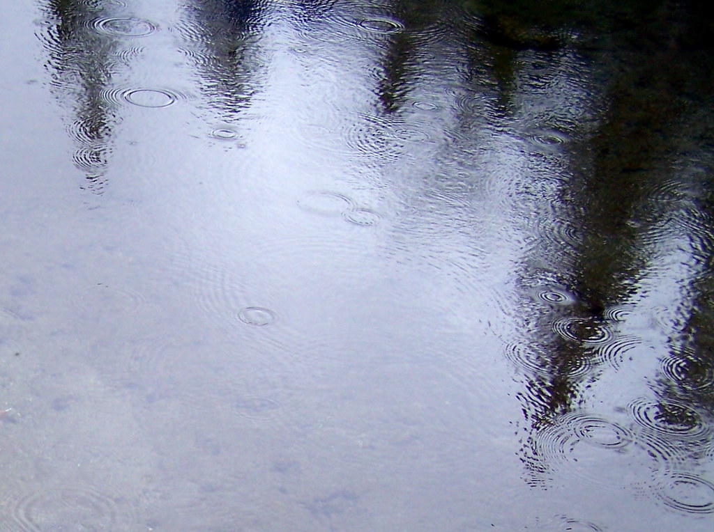 Long Pond, Westmore, VT April 29, 2007 Here is a nice refl… Flickr