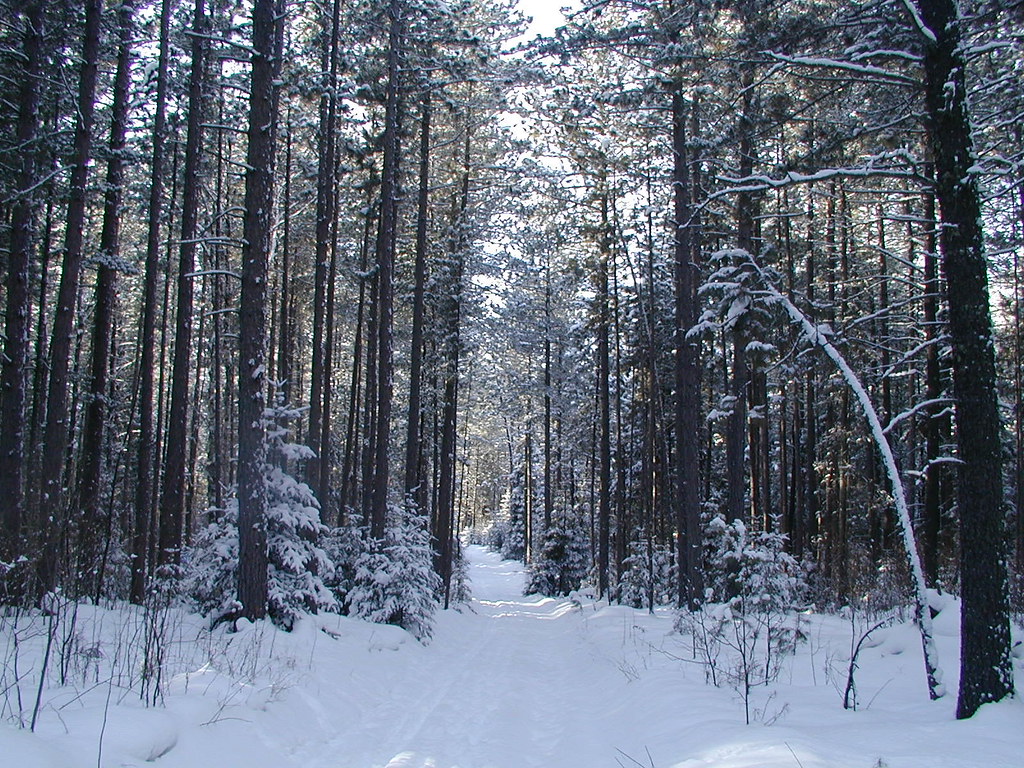 Snowy trail, Cloquet MN Eli Sagor Flickr