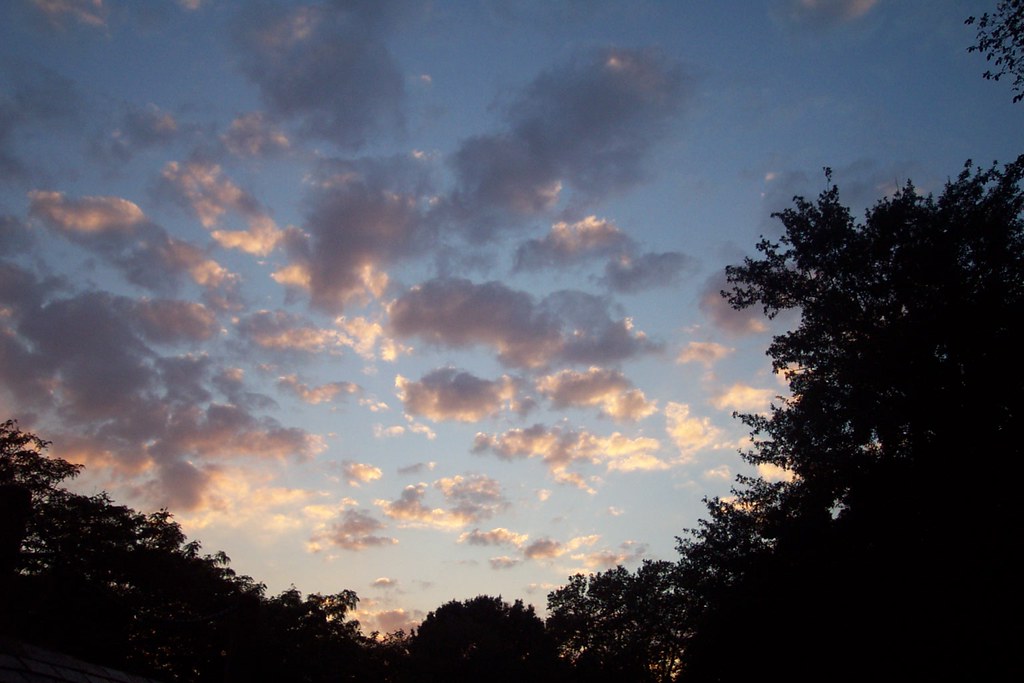 sunset in the park Kelly La Rosa Flickr