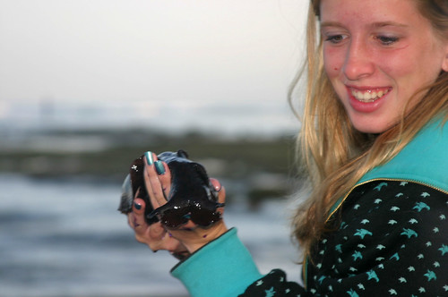 Sarah with a Sea Slug Low tide in Carlsbad Terra Mar on … Flickr