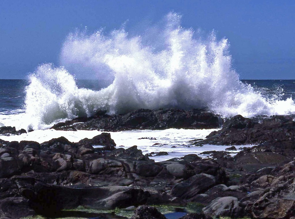 Bean Hollow State Park 1993 Karl Agre Flickr