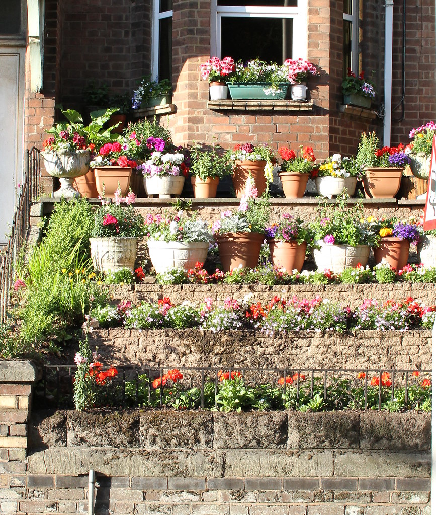 Urban front garden holloway_rd_garden_1519a Adrian Midgley Flickr