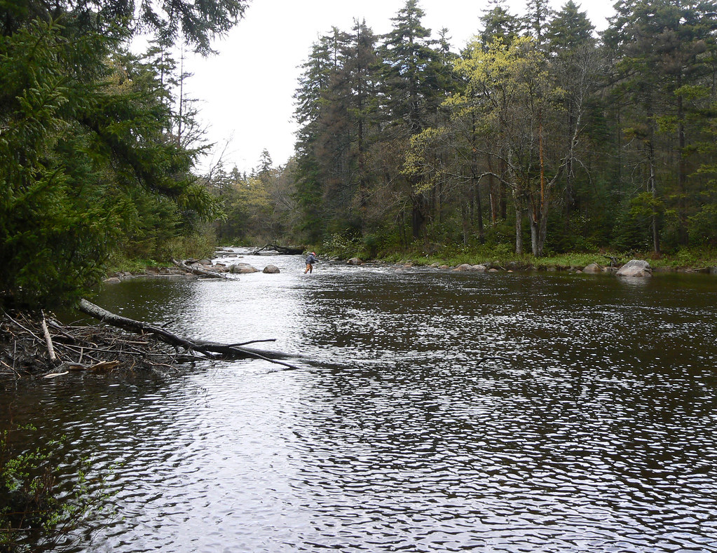 Fishing the West Canada Creek West Canada Creek. West Cana… Flickr
