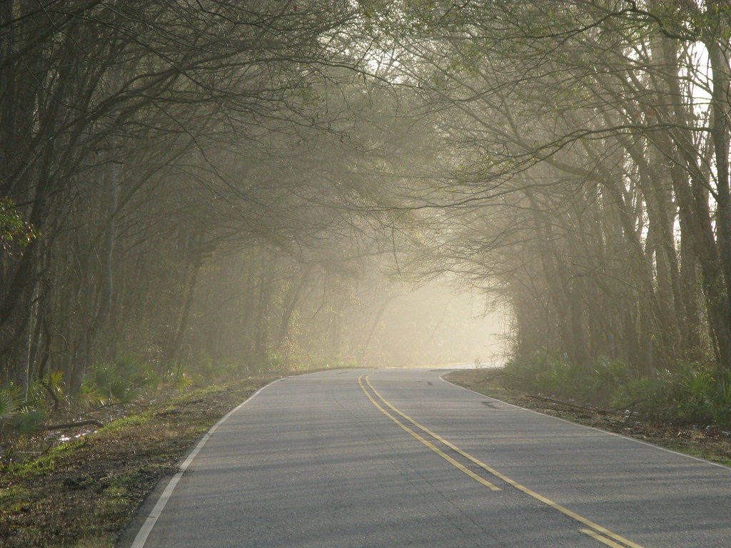 Misty morning near Melville, Louisiana, USA Cycling and sk… Flickr