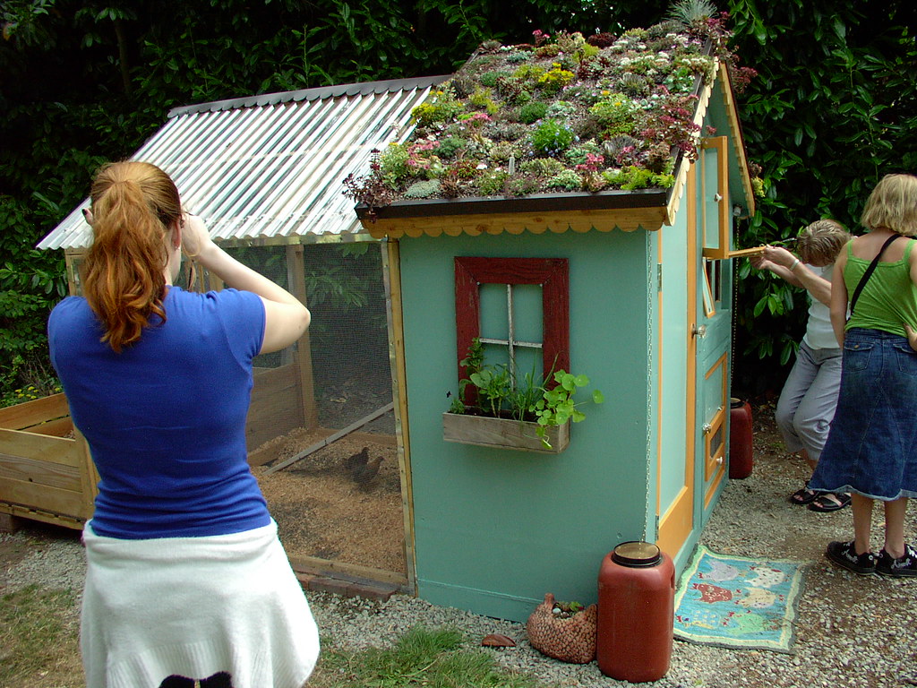 Green roof on chicken coop IMG_2478 Chicken tour "living… Flickr