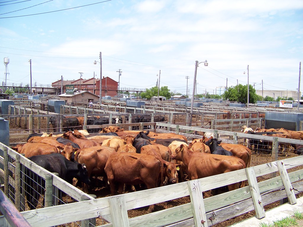 Stockyards City, OKC, OKOklahoma National Stockyards Flickr