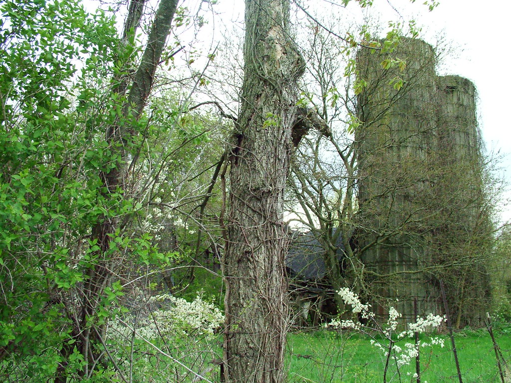 125W_700N 061 Old Farm House in Valparaiso Indiana W Count… Flickr