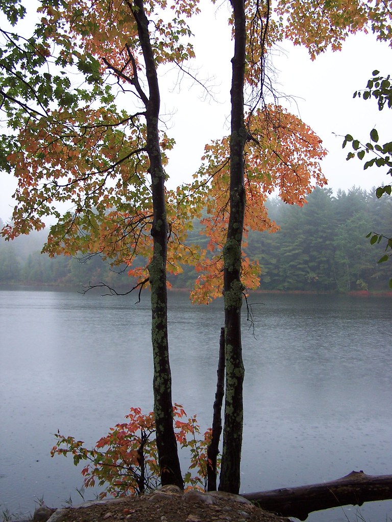 Pownal, Vermont Bill Goodman Flickr