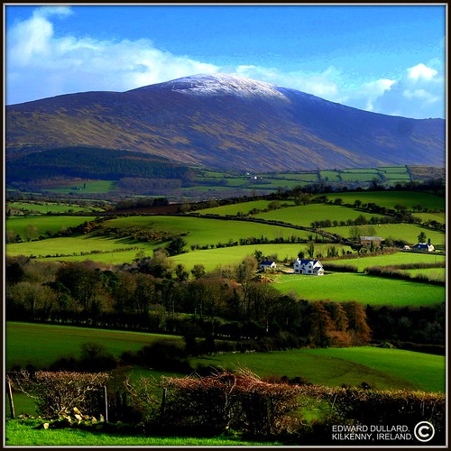 REAL... "REAL ESTATE" (IRELAND) A LINK TO MY GALLERIES WIT… Flickr