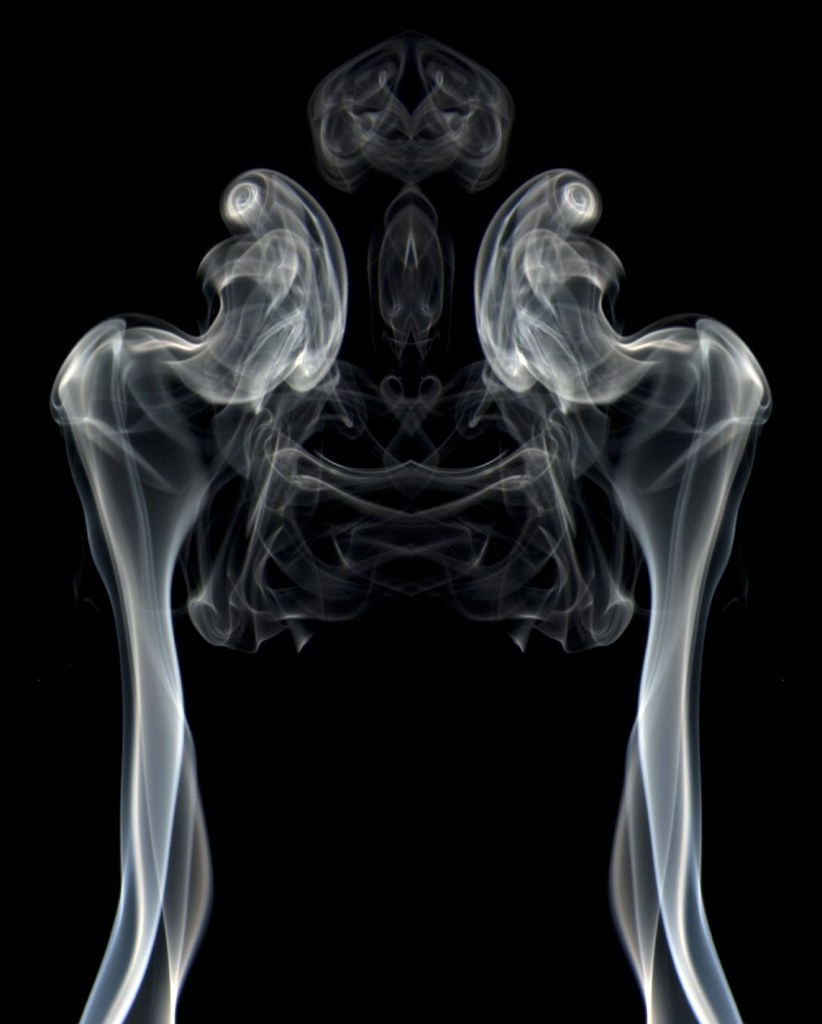 The Hip Bone's Connected to the...Thigh Bone Incense s… Flickr