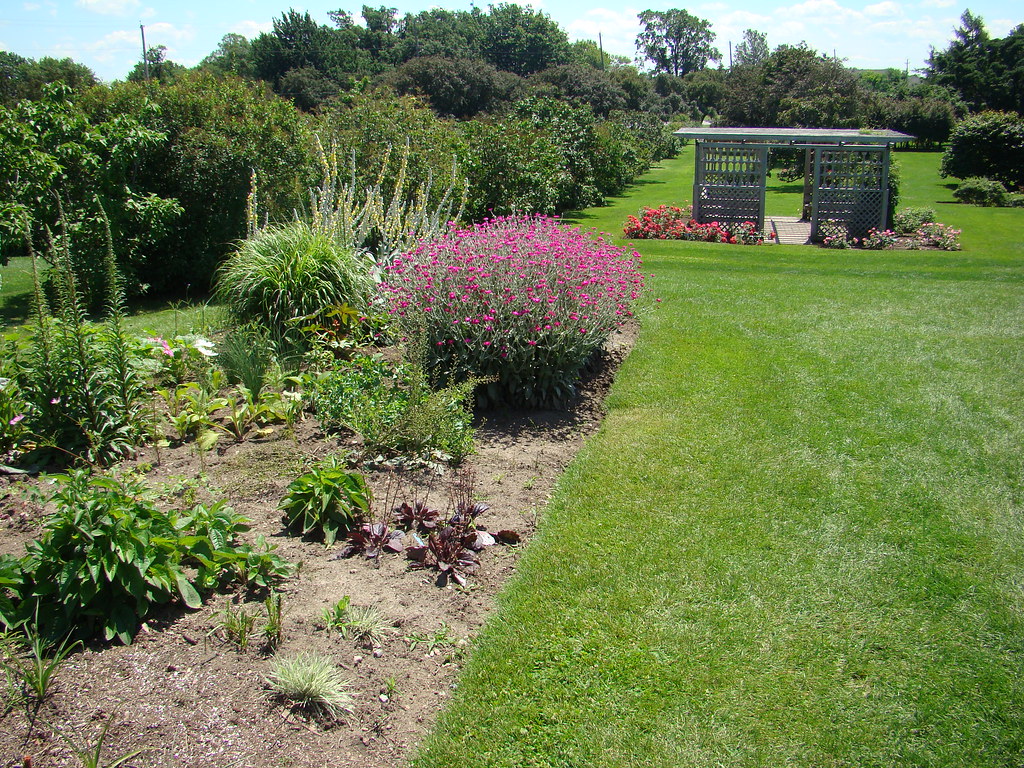 "Ornamental Garden Flowers in Ottawa" On Peter Ellis Flickr