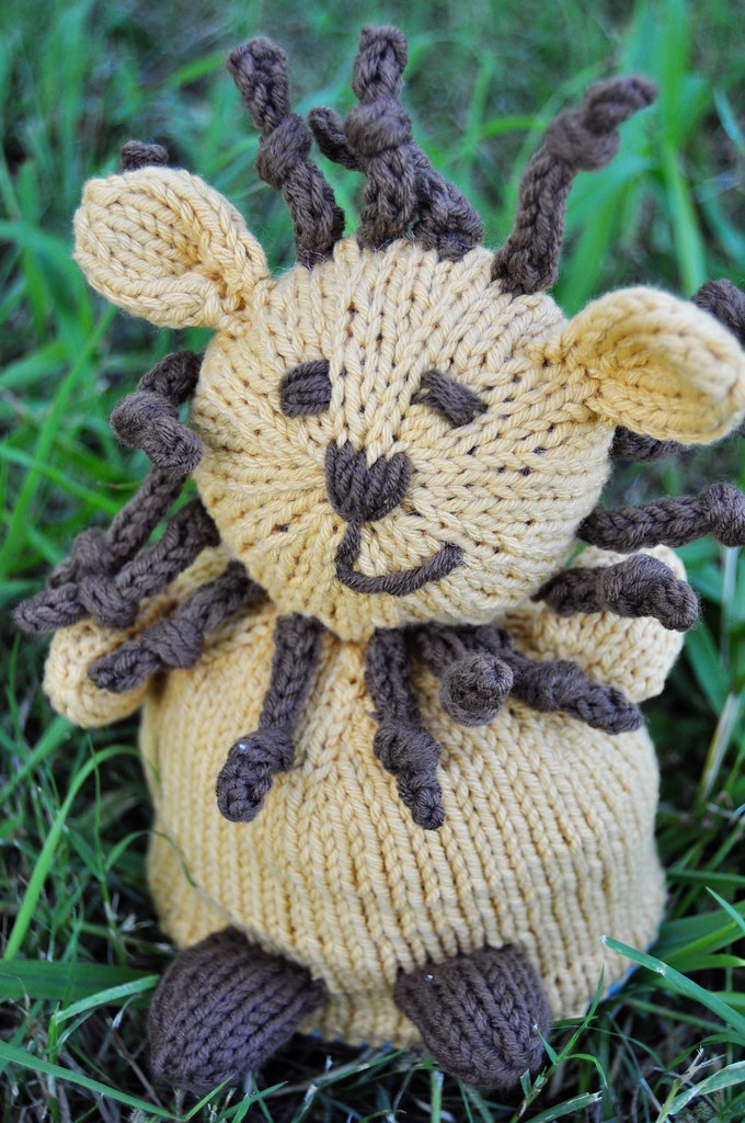 lion front i believe in love Jen Flickr