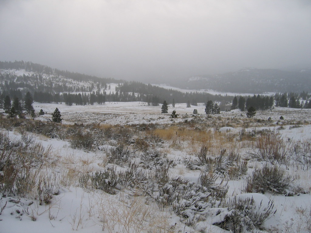 Tonasket, WA 031 Tonasket, WA matthewlefevre Flickr