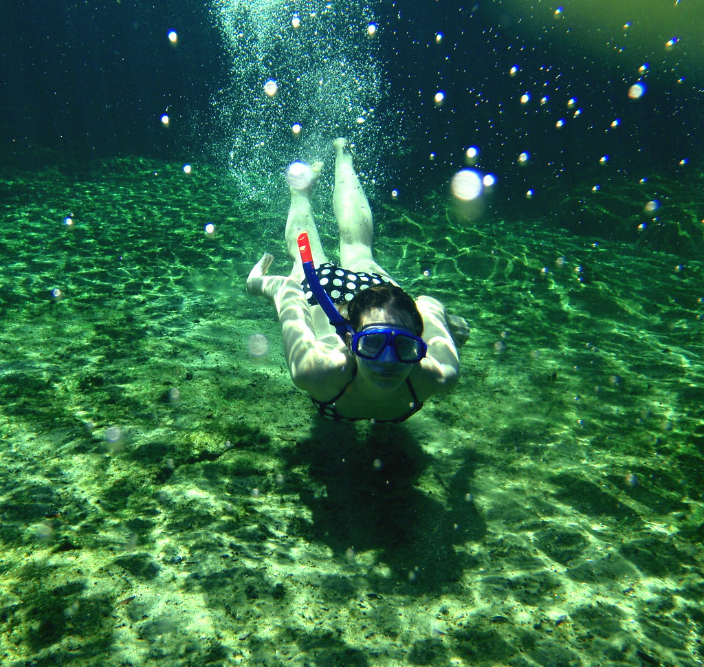 Snorkel Amanda Flickr