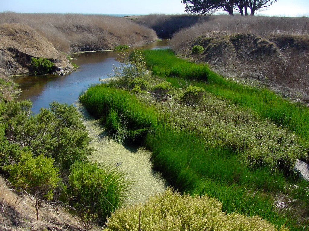 San Geronimo Creek or is it San Gregorio ??? Whatever its … Flickr