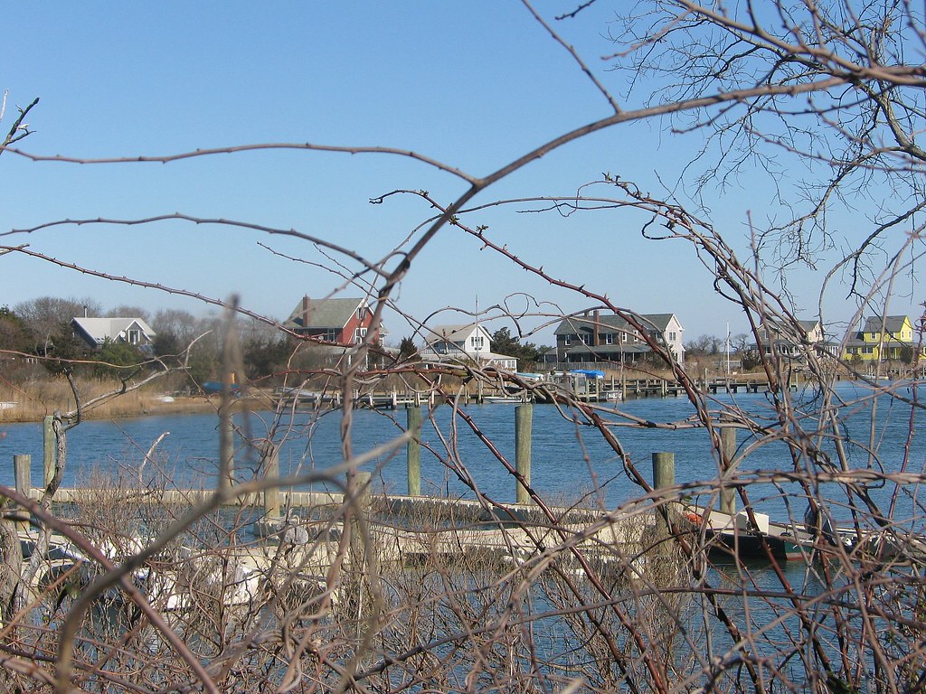 A view of Oak Island from behind the brambles. There are s… Flickr
