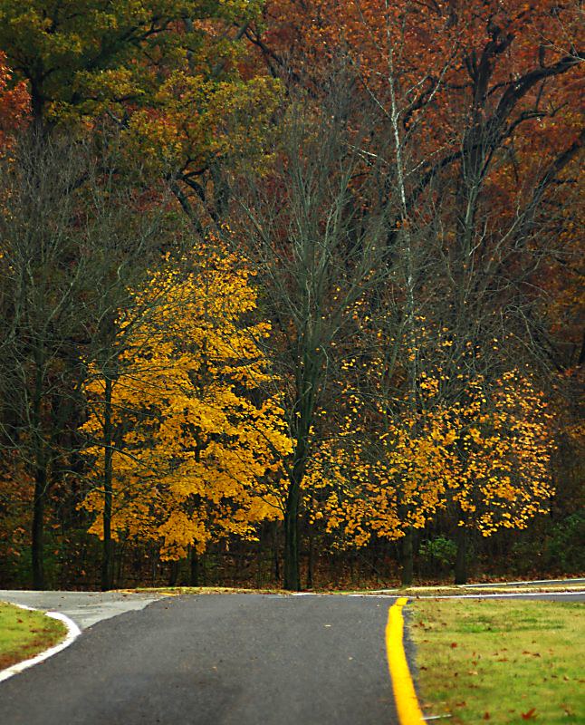 Elevation of Edge Manufacturing, Mason Cir S, Pevely, MO, USA